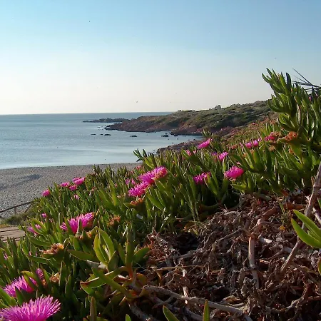 Lejlighed Residenza I Gabbiani Valledoria (Sardinia)